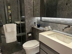 Cuscaden Reserve (D10), Condominium #594217841